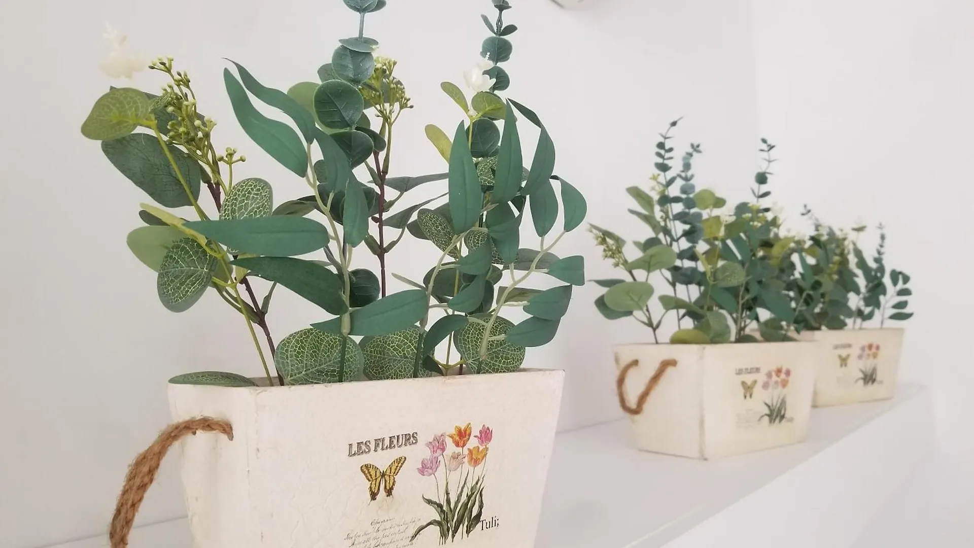 Joli T2 De 40M² A Louer A Le Muy 아파트
